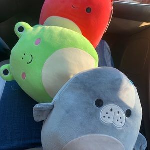 Squishmellow Wendy frog